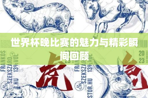 世界杯晚比赛的魅力与精彩瞬间回顾