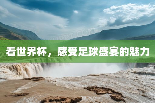 看世界杯,感受足球盛宴的魅力