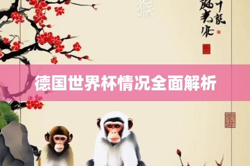 德国世界杯情况全面解析