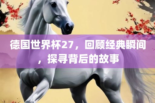 德国世界杯27,回顾经典瞬间,探寻背后的故事