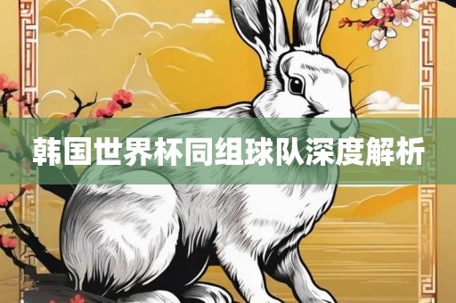 韩国世界杯同组球队深度解析