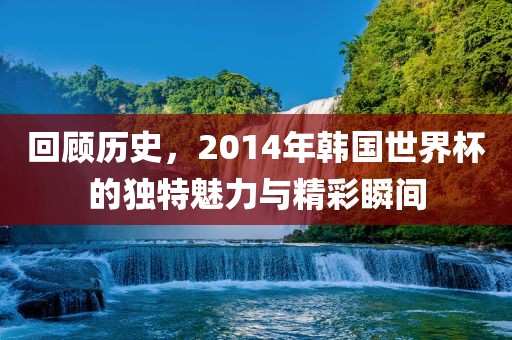 回顾历史,2014年韩国世界杯的独特魅力与精彩瞬间