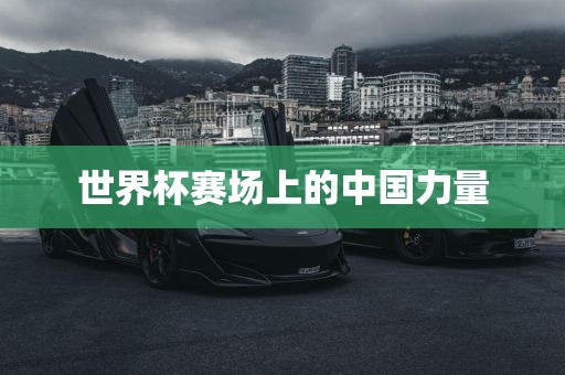世界杯赛场上的中国力量
