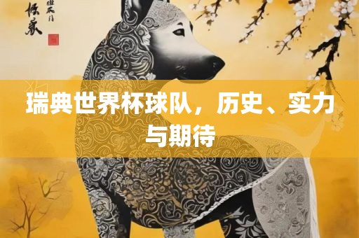 瑞典世界杯球队,历史、实力与期待