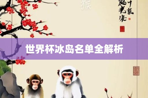 世界杯冰岛名单全解析