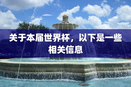 关于本届世界杯,以下是一些相关信息