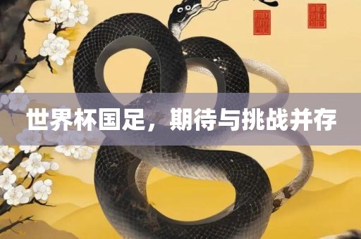 世界杯国足,期待与挑战并存