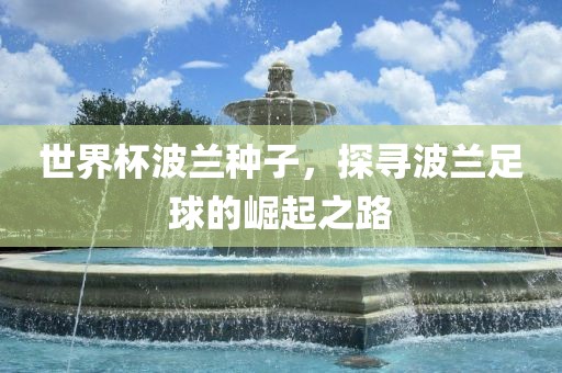 世界杯波兰种子,探寻波兰足球的崛起之路