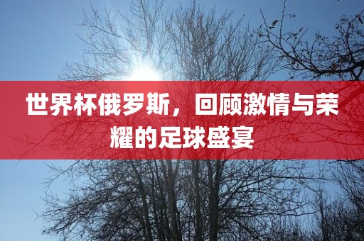 世界杯俄罗斯,回顾激情与荣耀的足球盛宴