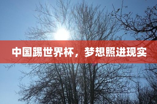 中国踢世界杯，梦想照进现实