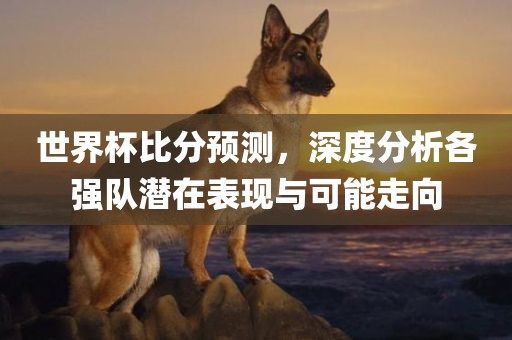世界杯比分预测,深度分析各强队潜在表现与可能走向