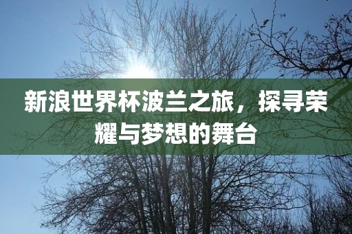 新浪世界杯波兰之旅，探寻荣耀与梦想的舞台