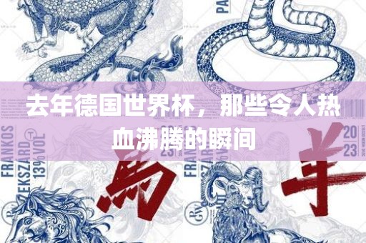 去年德国世界杯,那些令人热血沸腾的瞬间