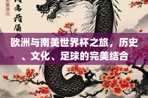 欧洲与南美世界杯之旅,历史、文化、足球的完美结合