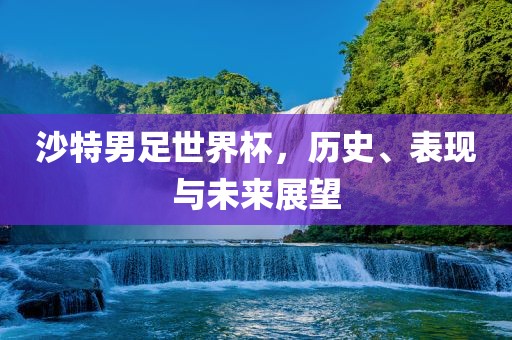 沙特男足世界杯,历史、表现与未来展望