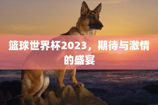 篮球世界杯2023，期待与激情的盛宴