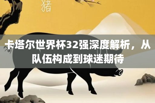 卡塔尔世界杯32强深度解析,从队伍构成到球迷期待