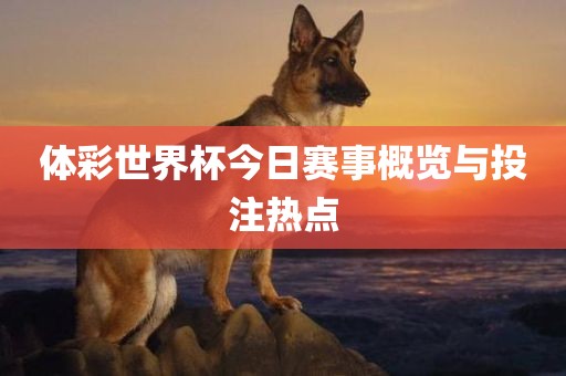 体彩世界杯今日赛事概览与投注热点