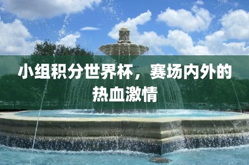 小组积分世界杯，赛场内外的热血激情