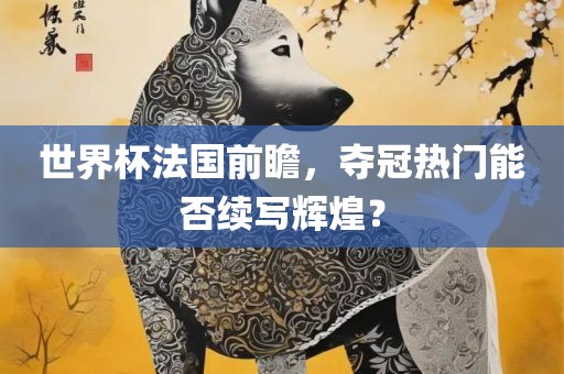 世界杯法国前瞻，夺冠热门能否续写辉煌？