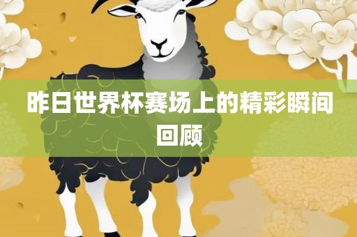 昨日世界杯赛场上的精彩瞬间回顾