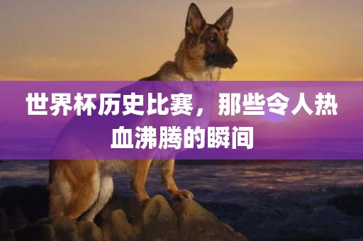 世界杯历史比赛,那些令人热血沸腾的瞬间