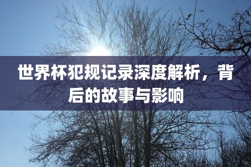 世界杯犯规记录深度解析,背后的故事与影响