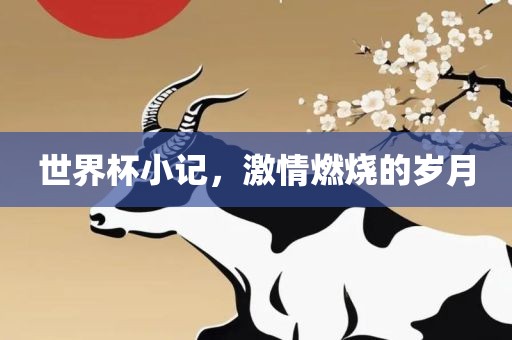 世界杯小记,激情燃烧的岁月