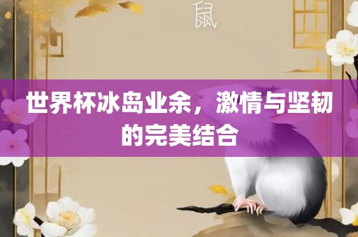 世界杯冰岛业余,激情与坚韧的完美结合