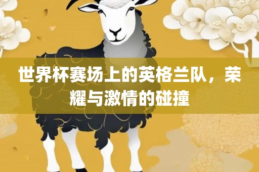世界杯赛场上的英格兰队,荣耀与激情的碰撞