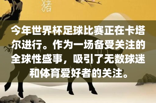 今年世界杯足球比赛正在卡塔尔进行。作为一场备受关注的全球性盛事，吸引了无数球迷和体育爱好者的关注。