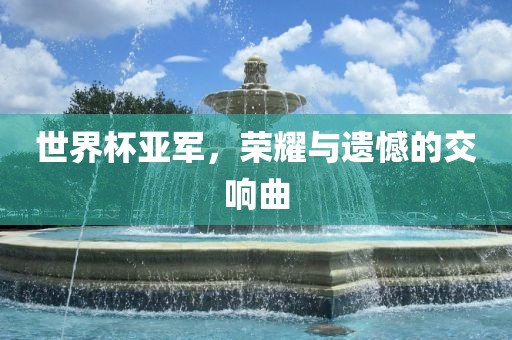 世界杯亚军,荣耀与遗憾的交响曲